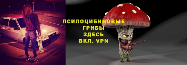 молекула духа Нефтекумск