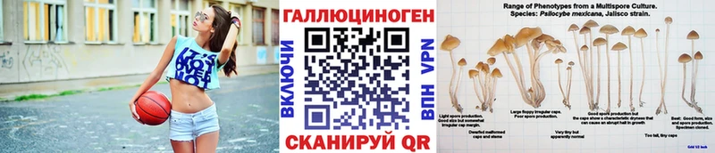 где найти   Кизилюрт  mega ССЫЛКА  Псилоцибиновые грибы GOLDEN TEACHER 