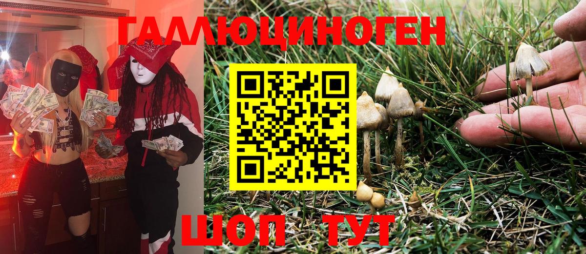 Галлюциногенные грибы Cubensis Кизилюрт
